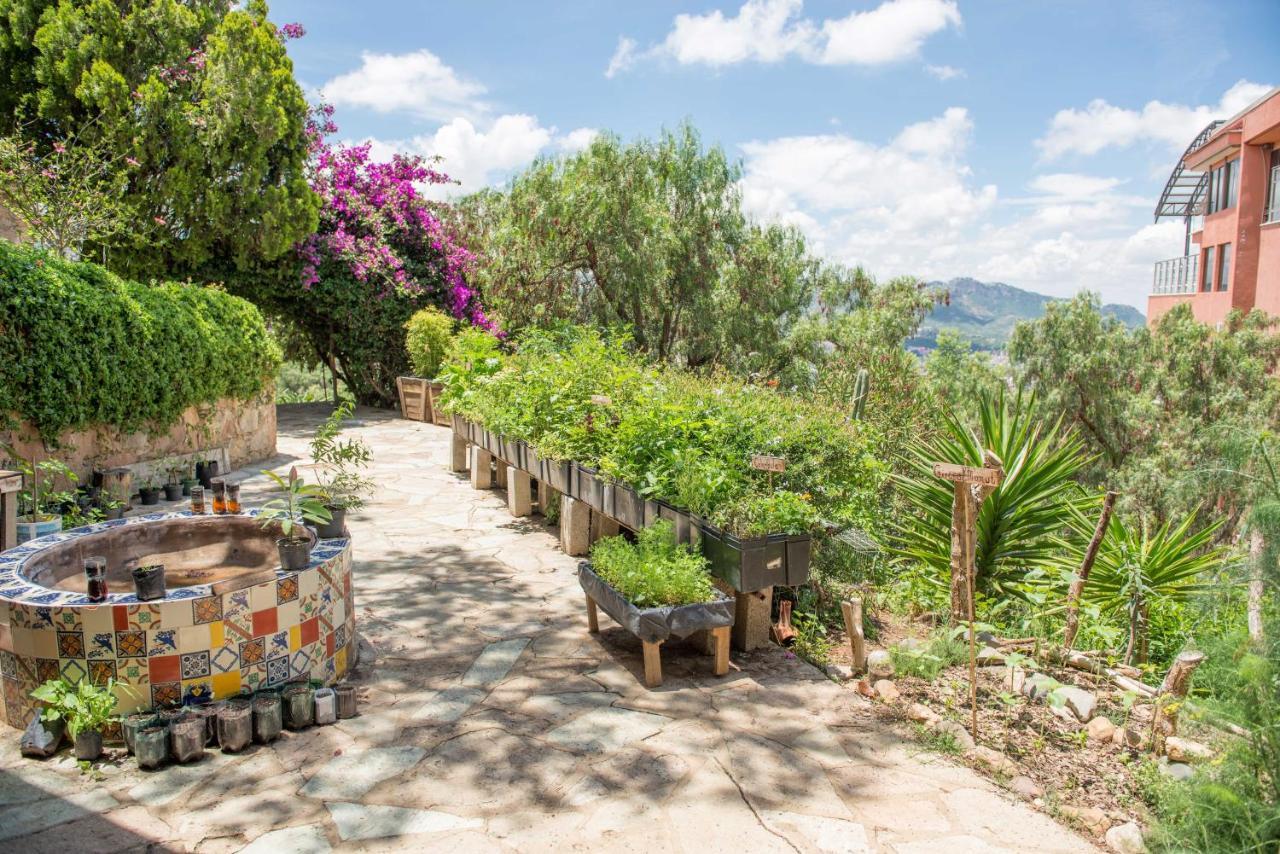 Casa Estrella De La Valenciana Hotel Boutique กัวนาฮัวโต ภายนอก รูปภาพ